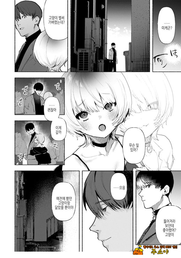 들고양이