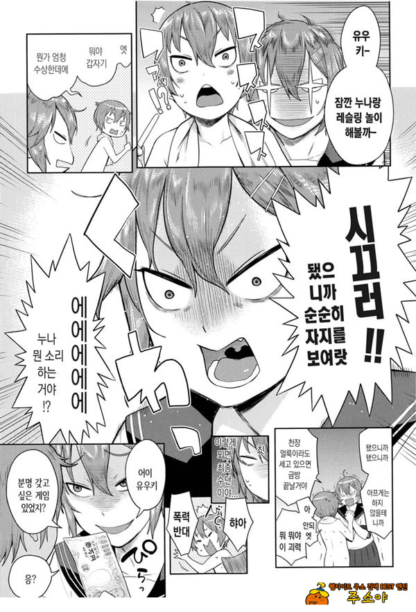 오네쇼타 레이프 ~야수로 변한 누나~