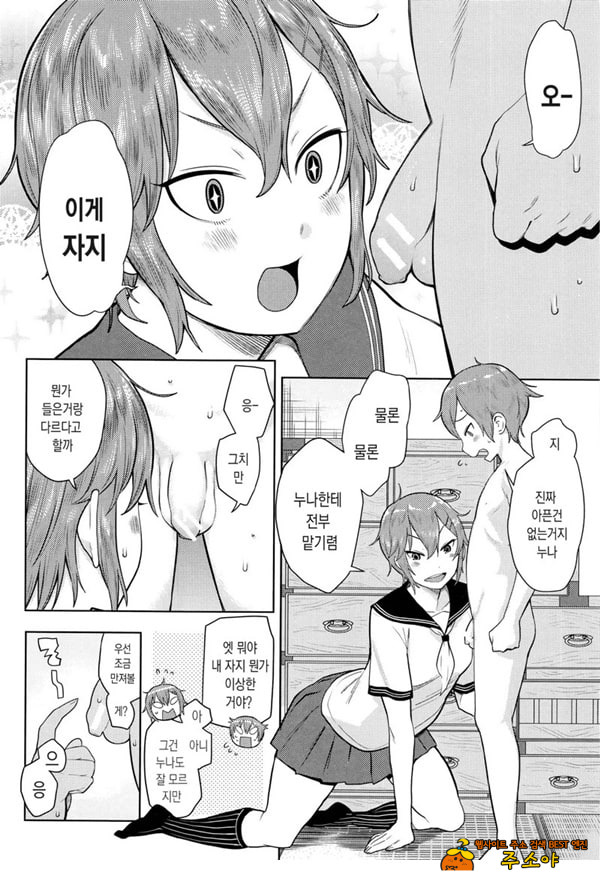 오네쇼타 레이프 ~야수로 변한 누나~