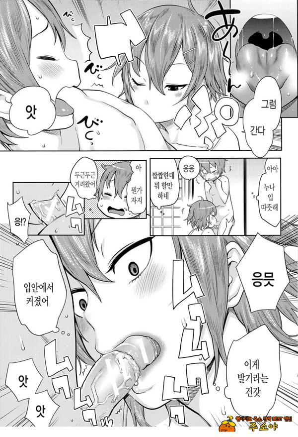 오네쇼타 레이프 ~야수로 변한 누나~