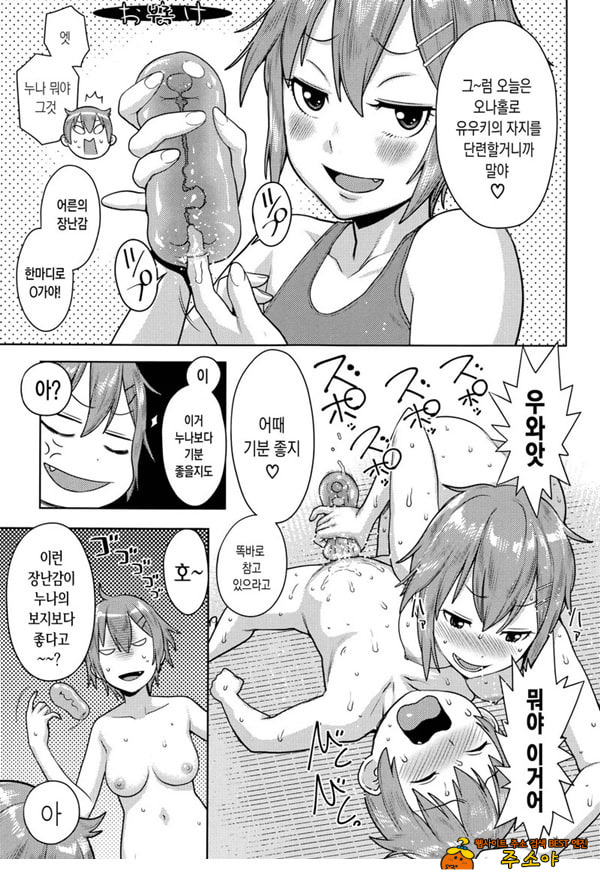 오네쇼타 레이프 ~야수로 변한 누나~
