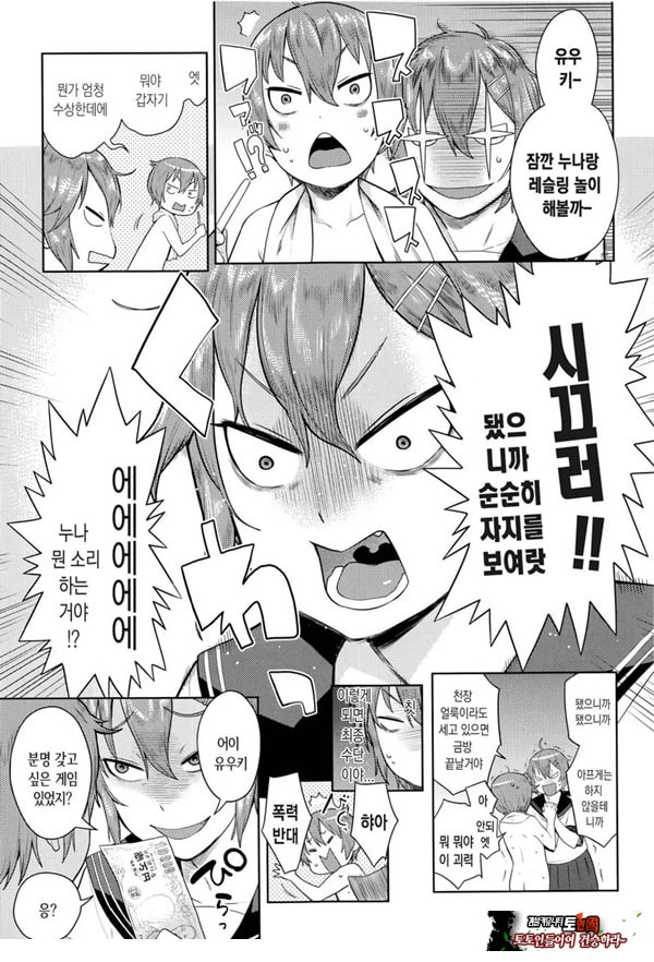 오네쇼타 레이프 ~야수로 변한 누나~