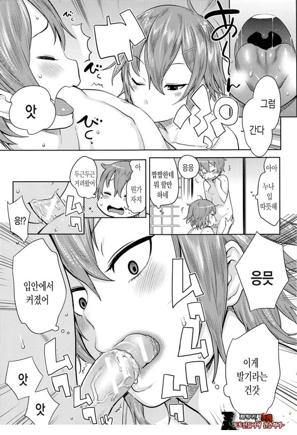 오네쇼타 레이프 ~야수로 변한 누나~
