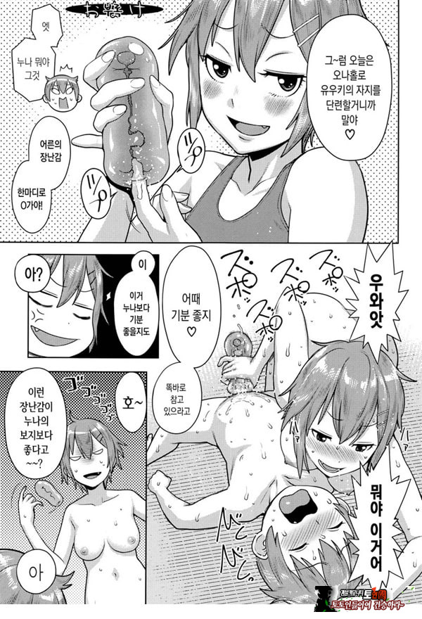 오네쇼타 레이프 ~야수로 변한 누나~