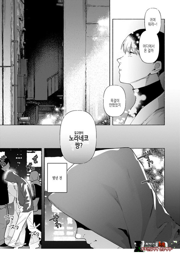 들고양이
