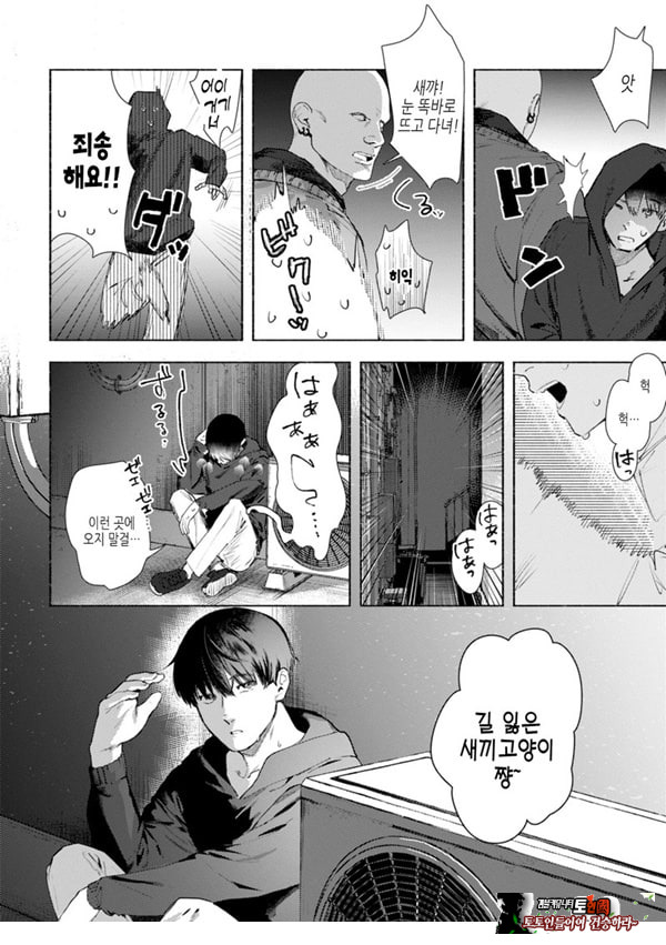 들고양이