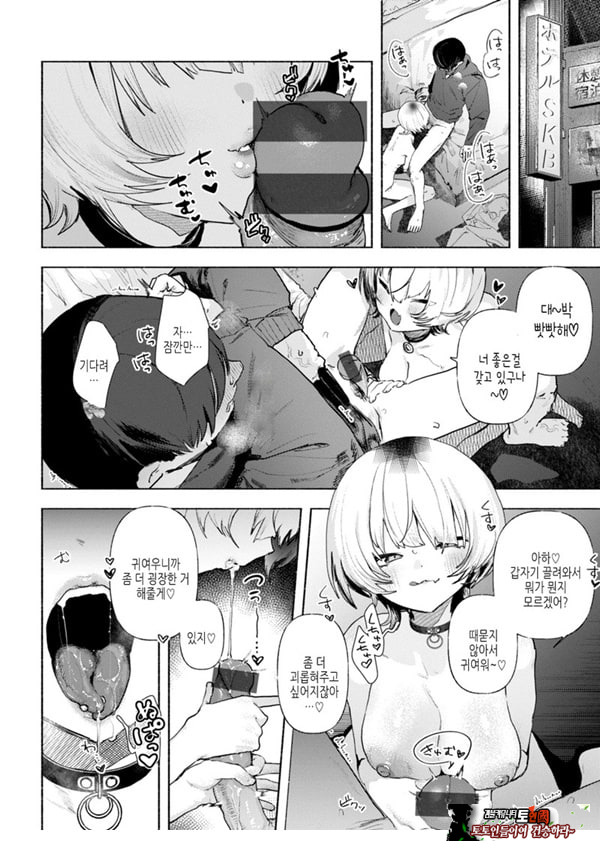 들고양이