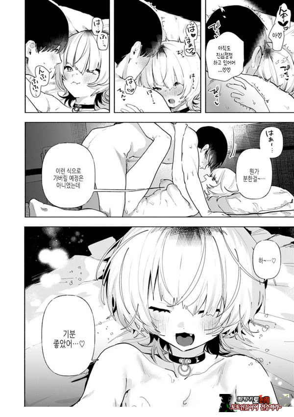 들고양이