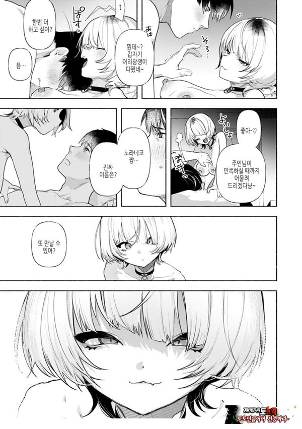 들고양이