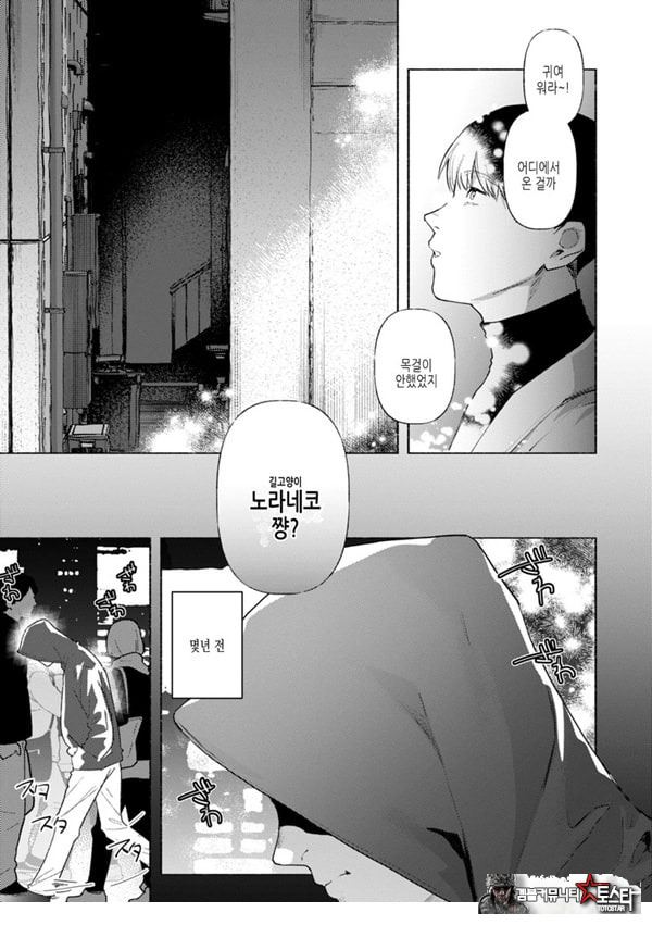 들고양이