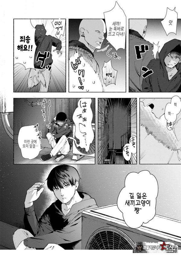 들고양이