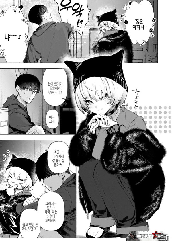 들고양이