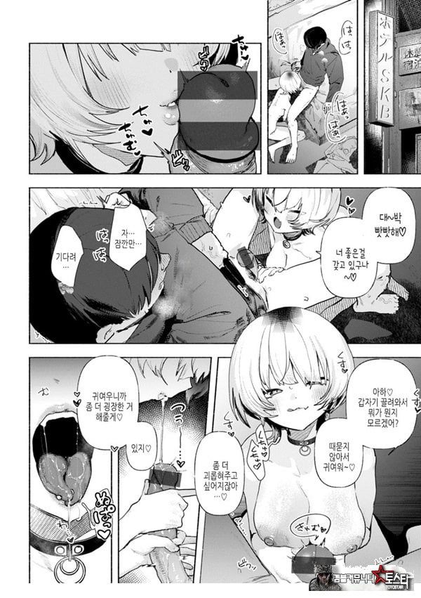 들고양이