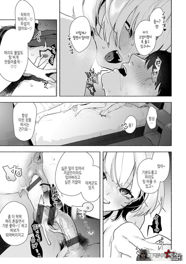 들고양이