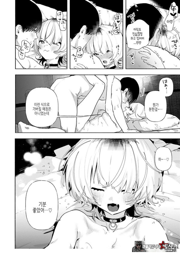 들고양이