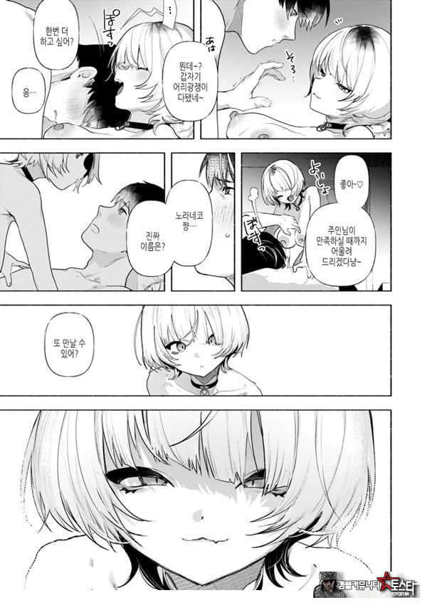들고양이
