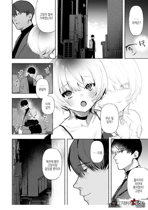 들고양이