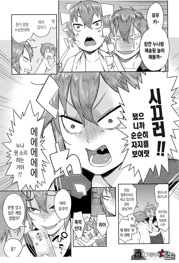 오네쇼타 레이프 ~야수로 변한 누나~