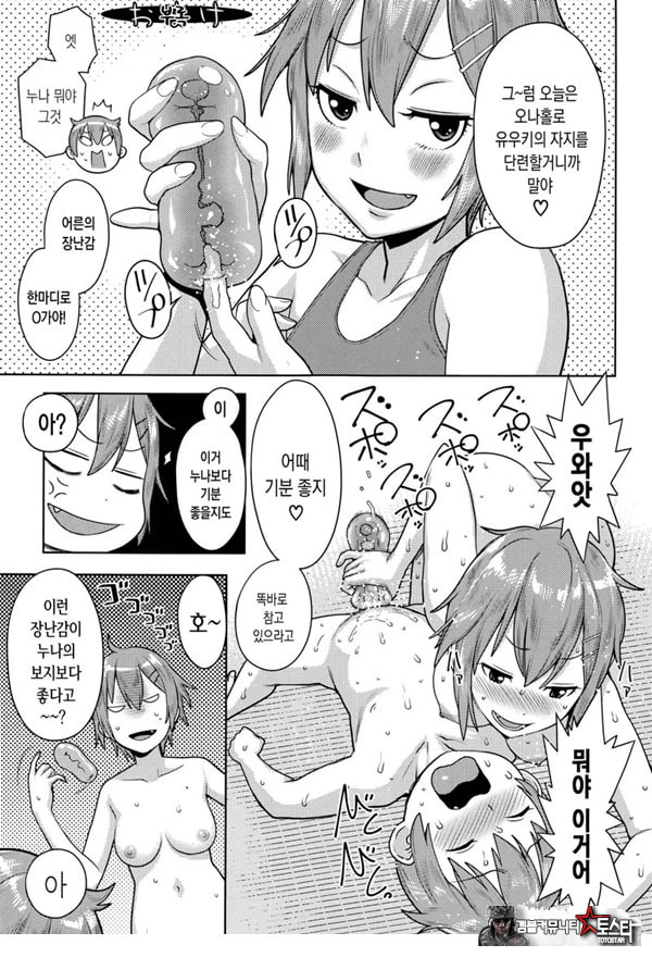 오네쇼타 레이프 ~야수로 변한 누나~