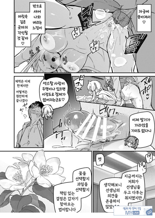 선택은 세미나의 꽃인가 과일인가