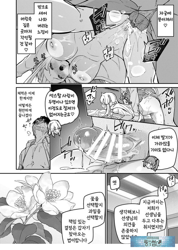 선택은 세미나의 꽃인가 과일인가