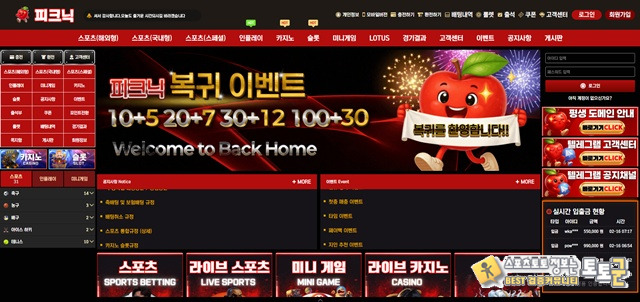 피크닉 먹튀 확정