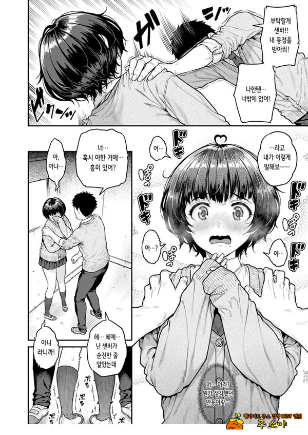 파시리쨩을 부탁합니다