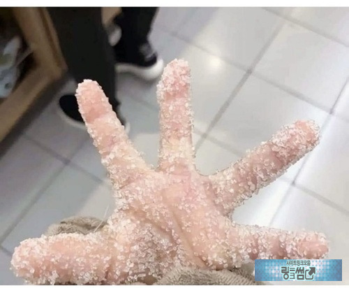 손은 눈보다 빠르니까 ㅋㅋ