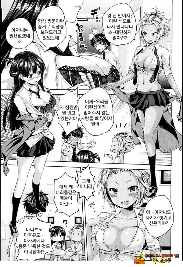 쌍둥이 빗치