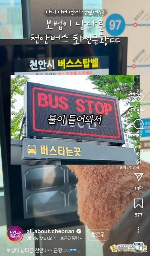 천안버스 근황 천안버스 근황