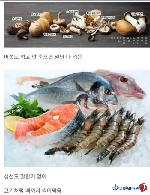 잘 먹는 한국인들