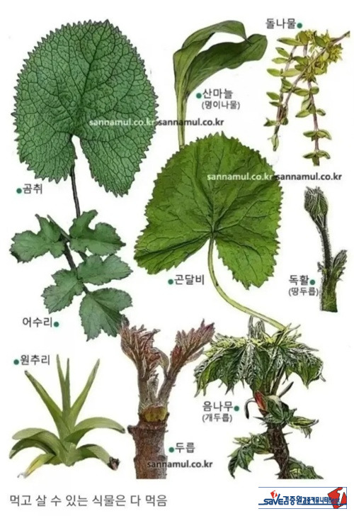 잘 먹는 한국인들