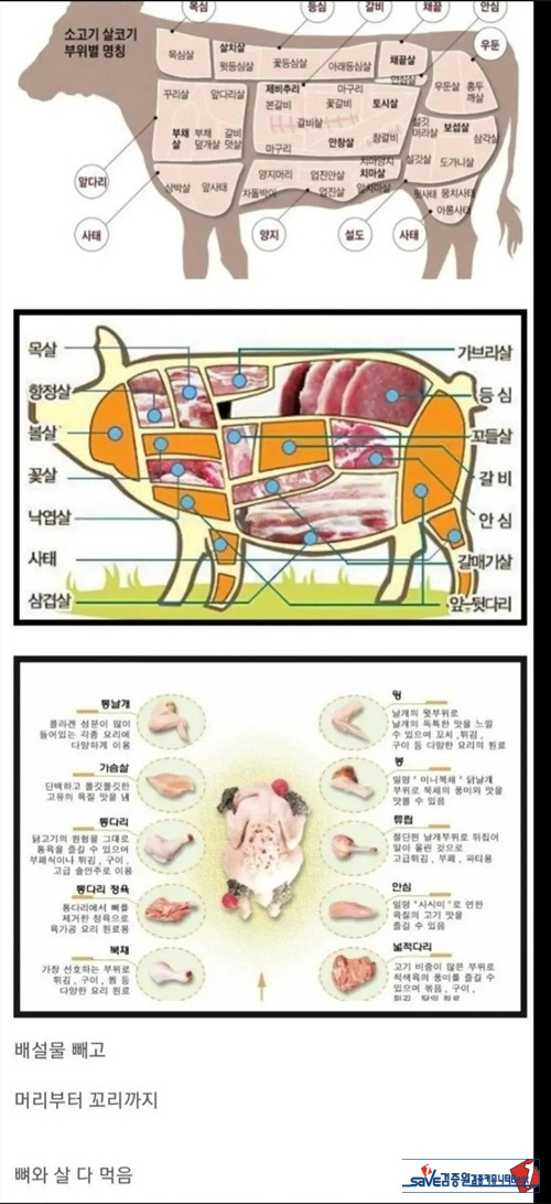 잘 먹는 한국인들