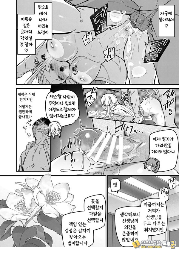 선택은 세미나의 꽃인가 과일인가 선택은 세미나의 꽃인가 과일인가