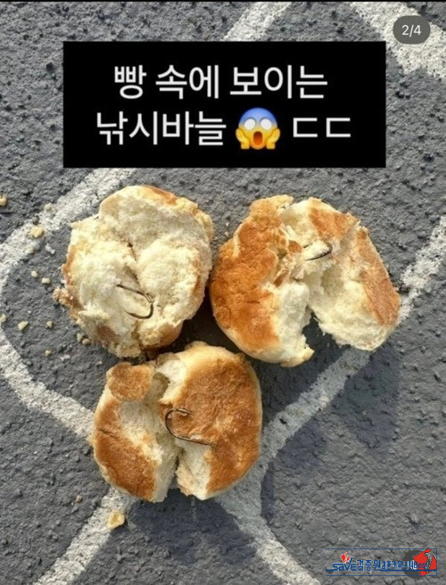 와 ㅆㅂ새끼네