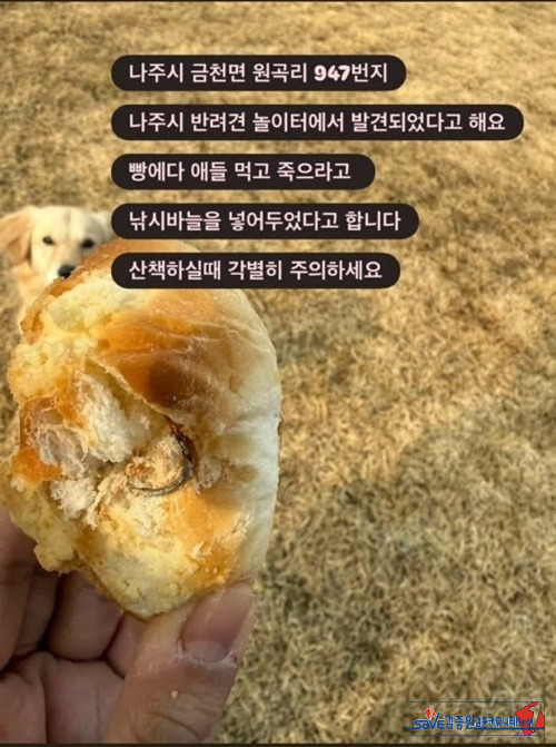 와 ㅆㅂ새끼네