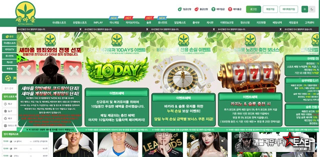 새마을 먹튀 확정 새마을 먹튀 확정