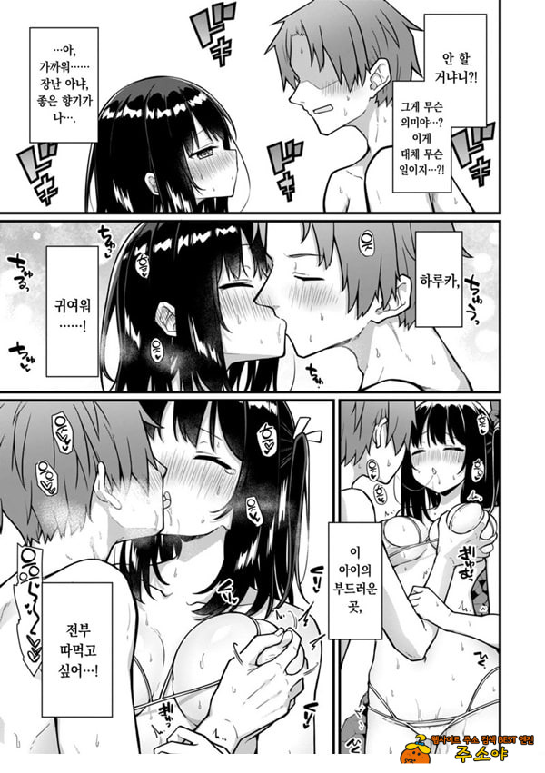 오픈☆썸머 대작전
