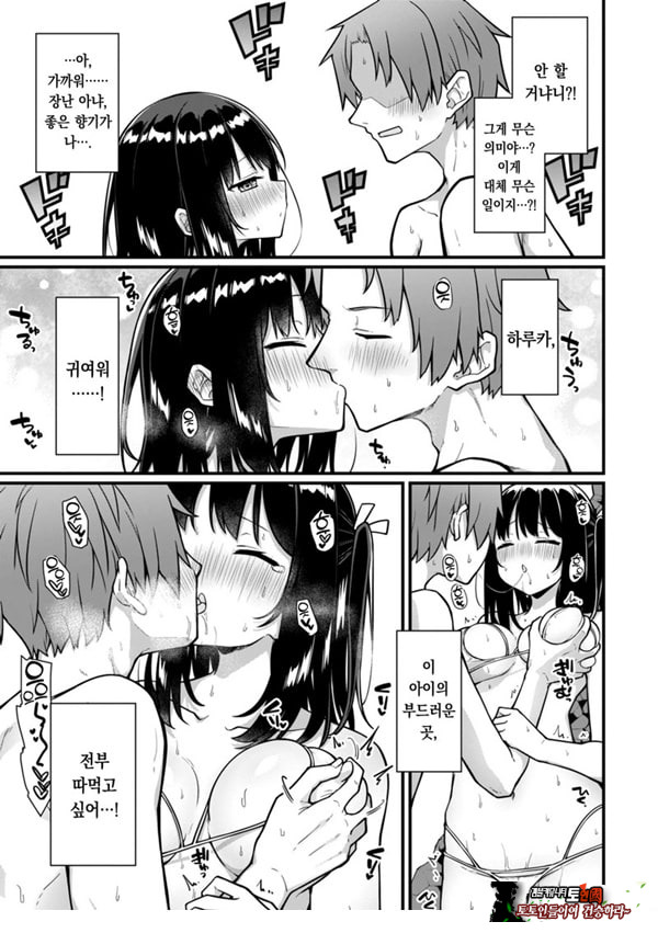 오픈☆썸머 대작전