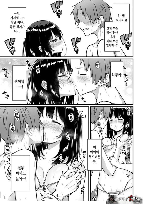 오픈☆썸머 대작전