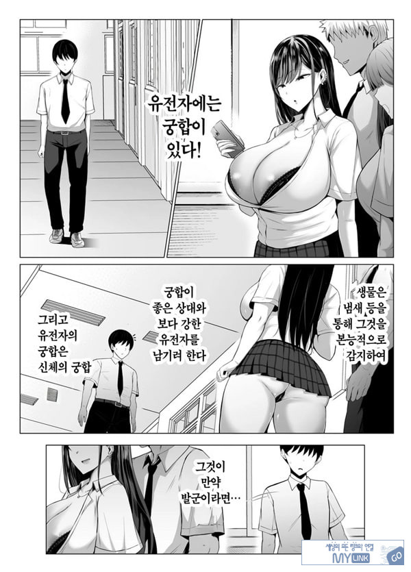 갸루와 오타쿠의 유전자 궁합 발군 H