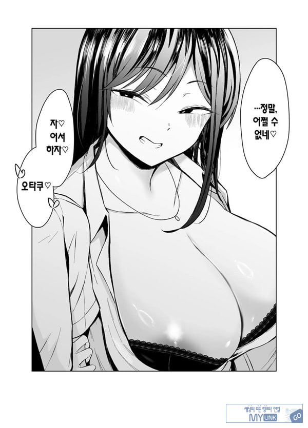 갸루와 오타쿠의 유전자 궁합 발군 H