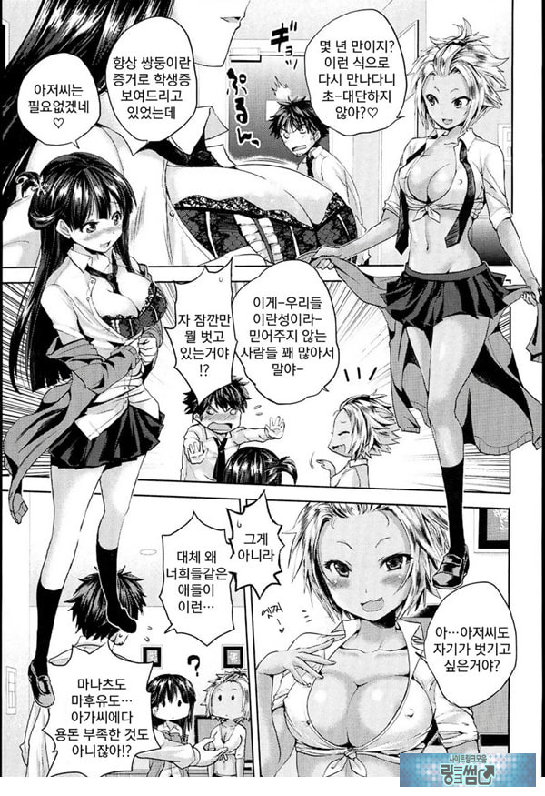 쌍둥이 빗치