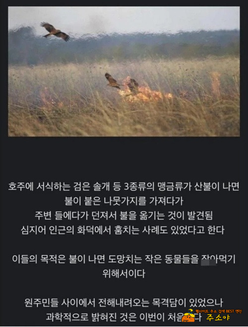씹~새들!!! 씹~새들!!!