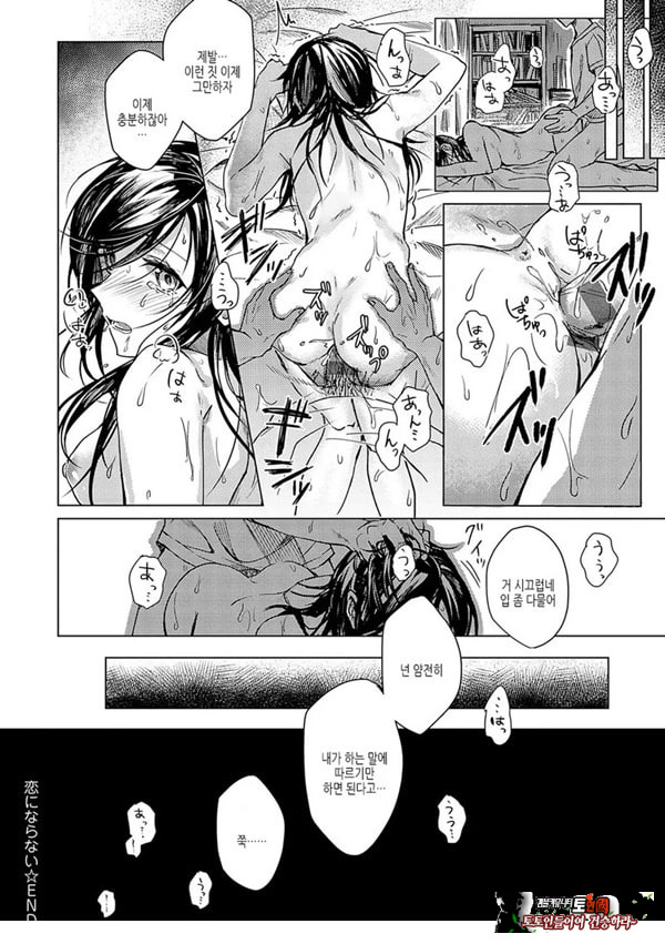 사랑이 되지 않아