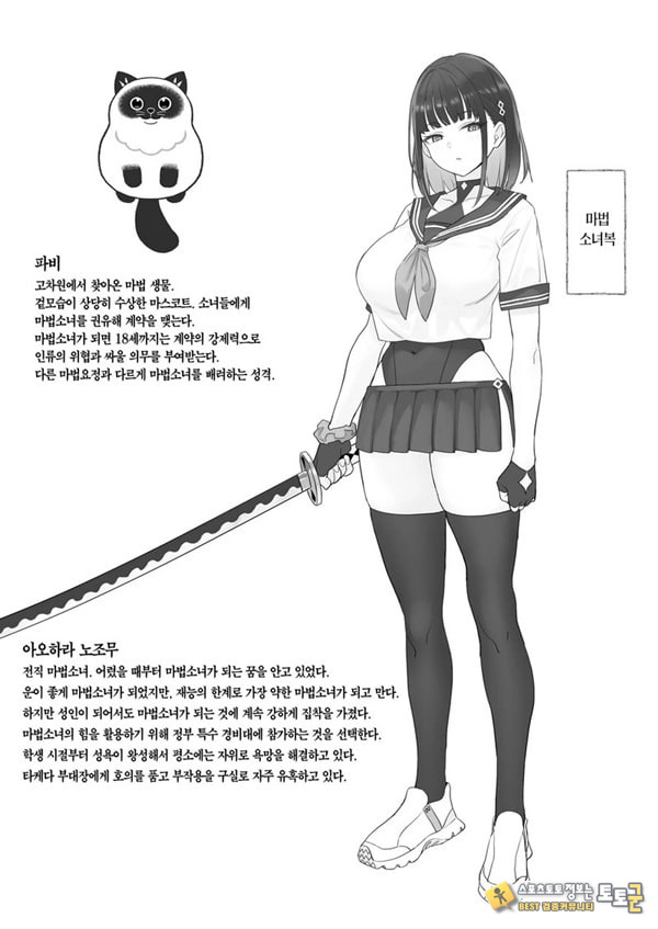 전직 마법소녀의 업무편 청