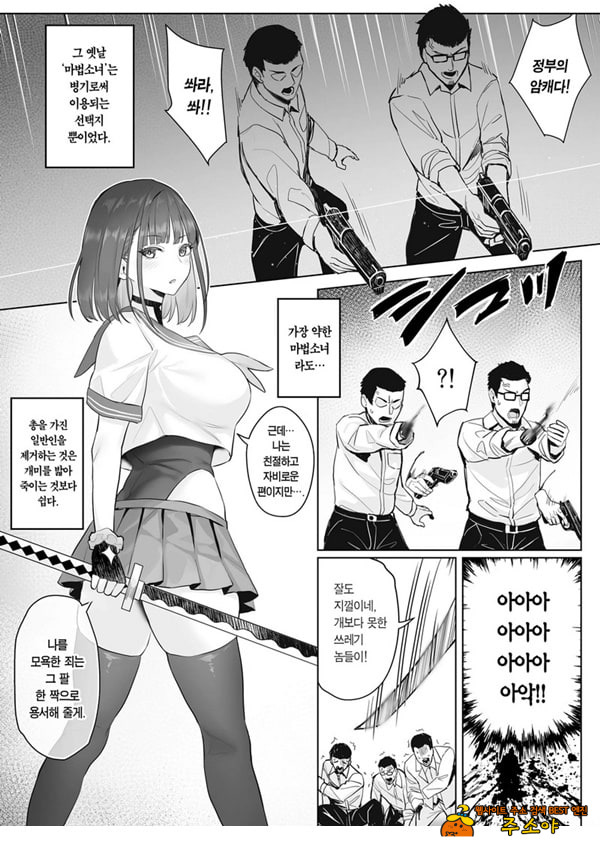 전직 마법소녀의 업무편 청