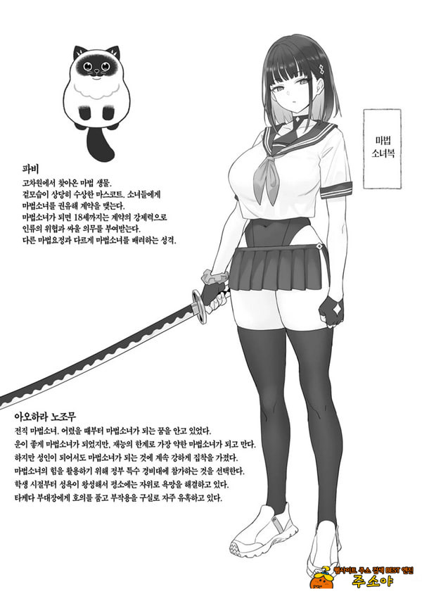 전직 마법소녀의 업무편 청