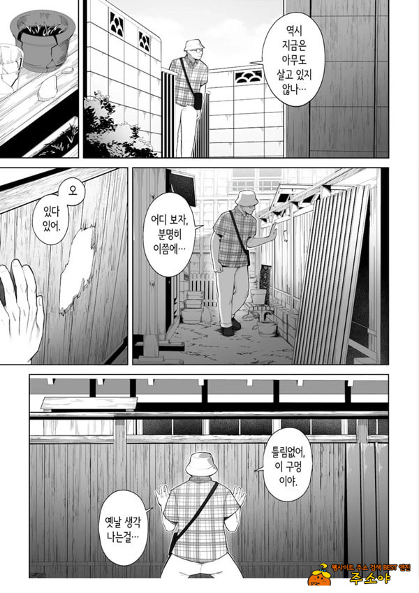 구멍 너머의 뜨거운 여름