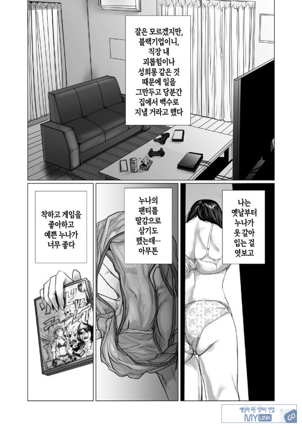 동생의 게임 뇌와 누나의 게임 성향